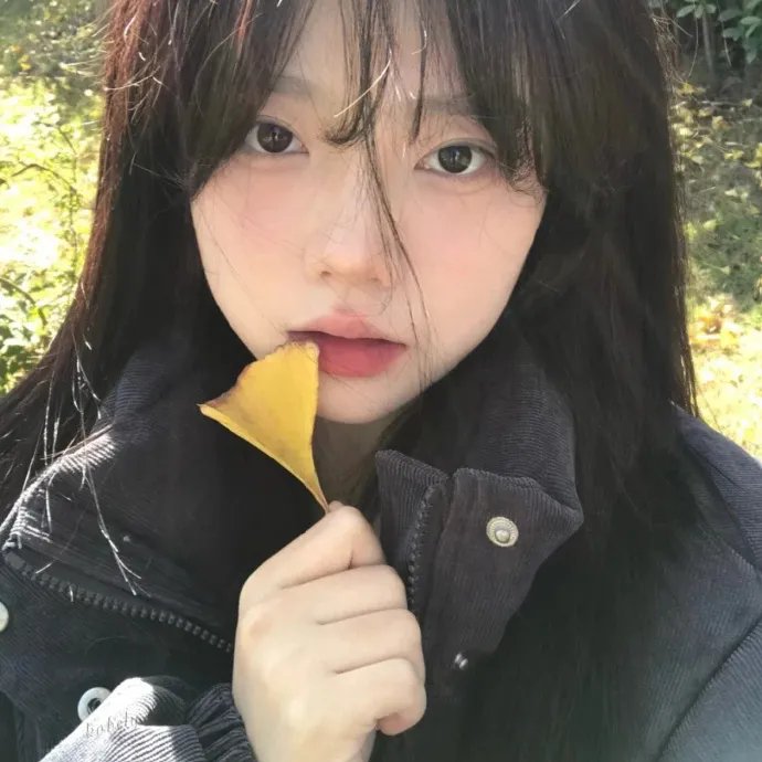 山有木兮木有心海报
